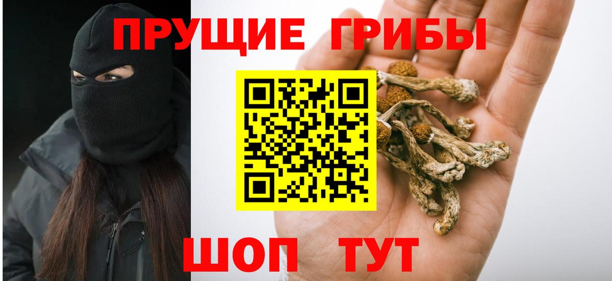 Галлюциногенные грибы ЛСД Нововоронеж